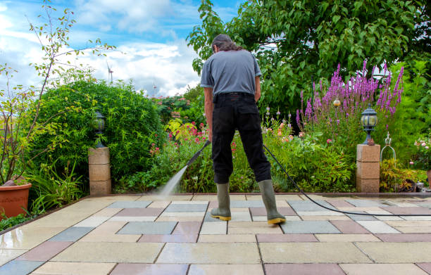 Best Sidewalk and Walkway Cleaning  in Flat Rock, NC